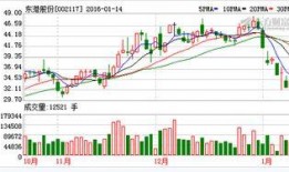 东港股份最新爆料信息网,揭秘公司重大动态与未来战略布局