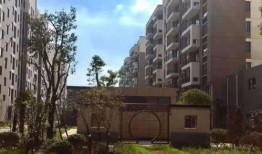 西安经开区最新爆料电话,电话揭露项目进展与动态