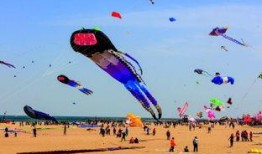 潍坊风筝节最新爆料新闻,千姿百态风筝展翅翱翔